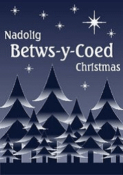 Betws-y-coed christmas.gif